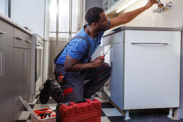 Best Garbage Disposal Repair and Installation  in Mulberry, AR